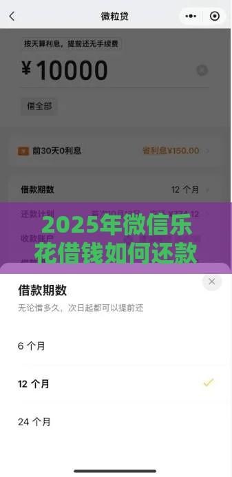 2025年微信乐花借钱如何还款，整合5个最新2025有呆账能下款的口子