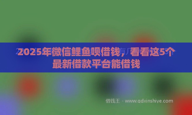 2025年微信鲤鱼呗借钱，看看这5个最新借款平台能借钱