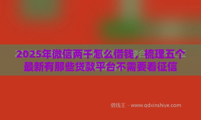 2025年微信两千怎么借钱，梳理五个最新有那些贷款平台不需要看征信