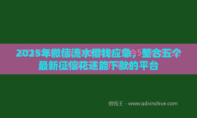 2025年微信流水借钱应急，整合五个最新征信花还能下款的平台