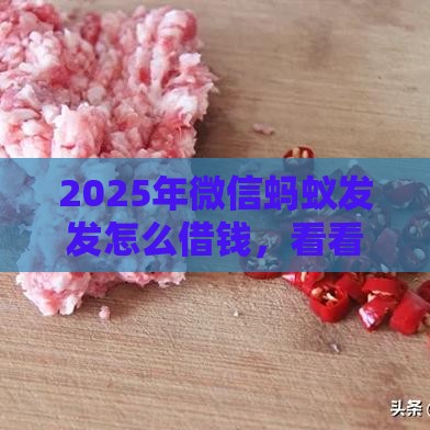 2025年微信蚂蚁发发怎么借钱，看看这5个最新贷款口子