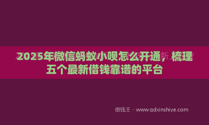 2025年微信蚂蚁小呗怎么开通，梳理五个最新借钱靠谱的平台