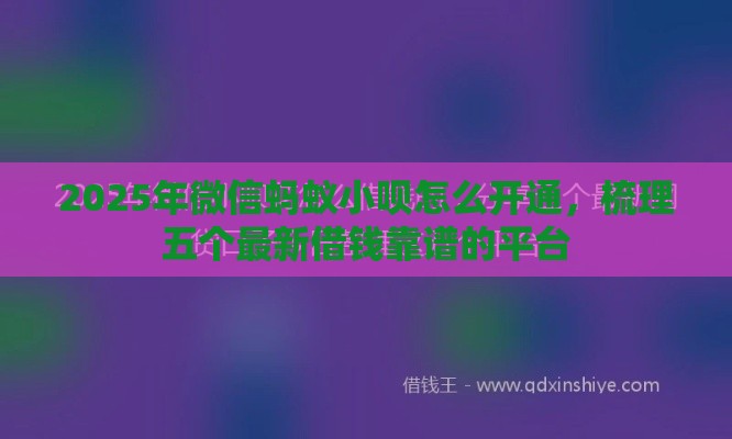 2025年微信蚂蚁小呗怎么开通，梳理五个最新借钱靠谱的平台
