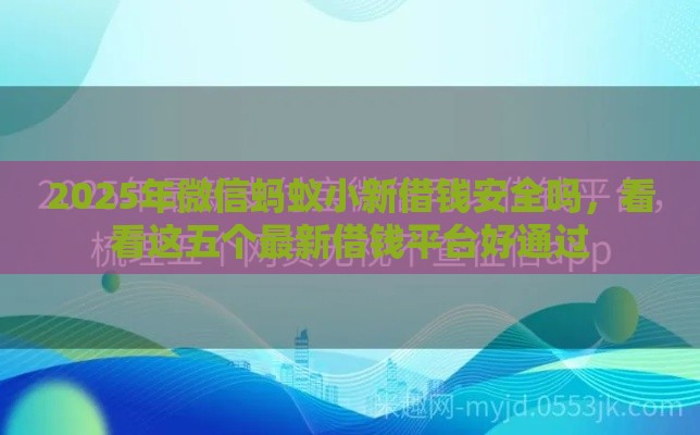 2025年微信蚂蚁小新借钱安全吗，看看这五个最新借钱平台好通过