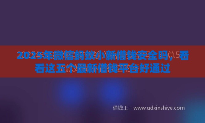 2025年微信蚂蚁小新借钱安全吗，看看这五个最新借钱平台好通过