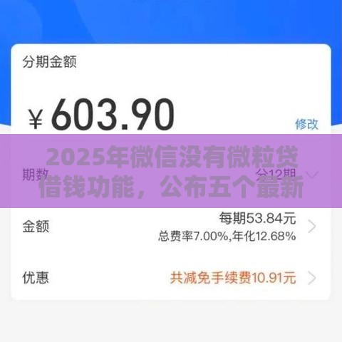 2025年微信没有微粒贷借钱功能，公布五个最新17岁学生贷款平台