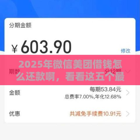 2025年微信美团借钱怎么还款啊，看看这五个最新15岁贷款平台