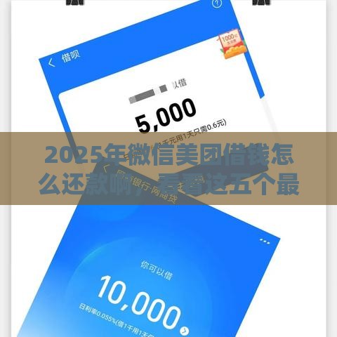 2025年微信美团借钱怎么还款啊，看看这五个最新15岁贷款平台