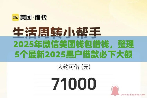 2025年微信美团钱包借钱，整理5个最新2025黑户借款必下大额口子