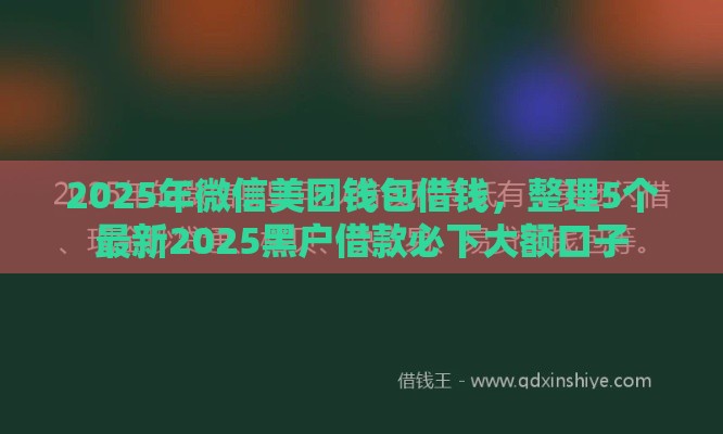 2025年微信美团钱包借钱，整理5个最新2025黑户借款必下大额口子