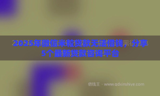 2025年微信米粒贷款无法借钱，分享5个最新贷款咨询平台