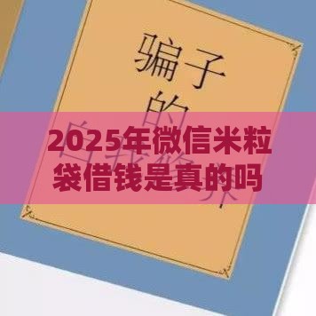 2025年微信米粒袋借钱是真的吗，试试这5个最新网贷平台