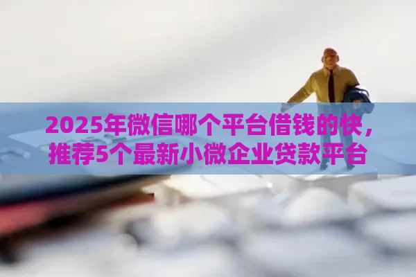 2025年微信哪个平台借钱的快，推荐5个最新小微企业贷款平台