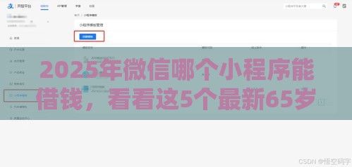 2025年微信哪个小程序能借钱，看看这5个最新65岁稳放款口子正规网贷