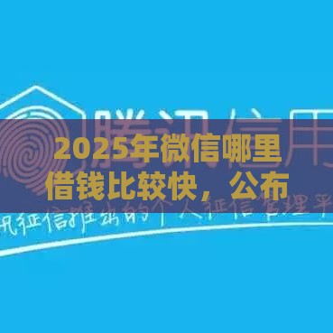 2025年微信哪里借钱比较快，公布五个最新不看征信小贷口子
