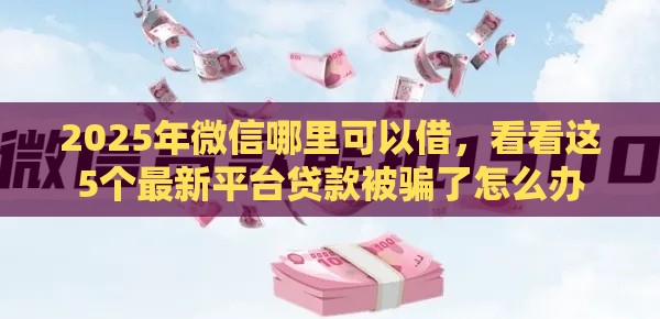 2025年微信哪里可以借,看看这5个最新平台贷款被骗了怎么办 2025年微信哪里可以借,看看这5个最新平台贷款被骗了怎么办