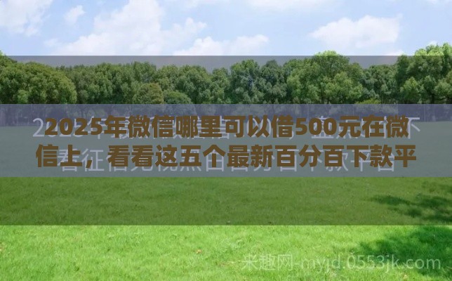 2025年微信哪里可以借500元在微信上，看看这五个最新百分百下款平台