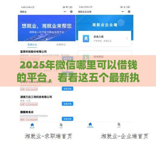 2025年微信哪里可以借钱的平台，看看这五个最新执行人贷款稳下的口子
