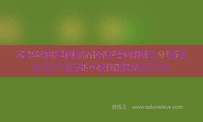 2025年微信那个公众号好借钱，看看这五个最新17岁小额贷款平台
