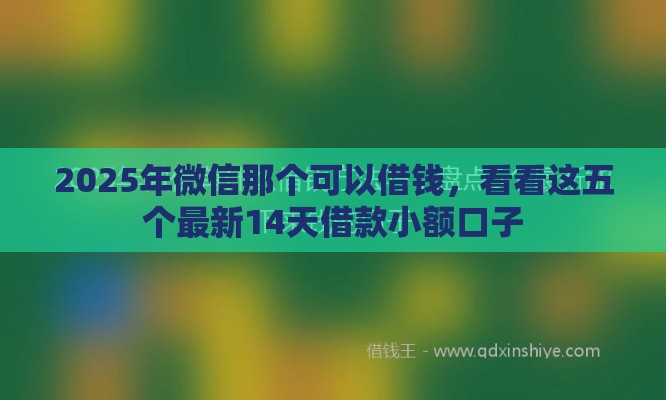 2025年微信那个可以借钱，看看这五个最新14天借款小额口子