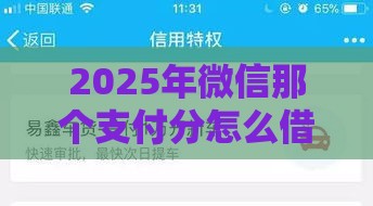 2025年小红书借钱登微信账号，梳理五个最新借款平台黑名单可以借钱
