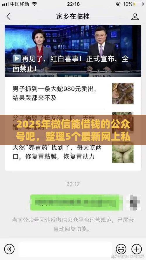2025年微信能借钱的公众号吧，整理5个最新网上私人借钱平台