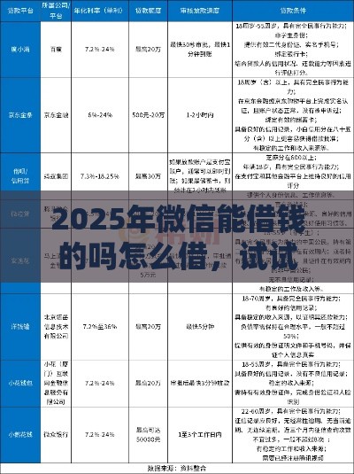 2025年微信能借钱的吗怎么借，试试这5个最新借钱好的平台
