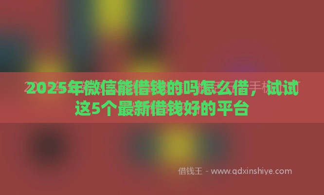 2025年微信能借钱的吗怎么借，试试这5个最新借钱好的平台