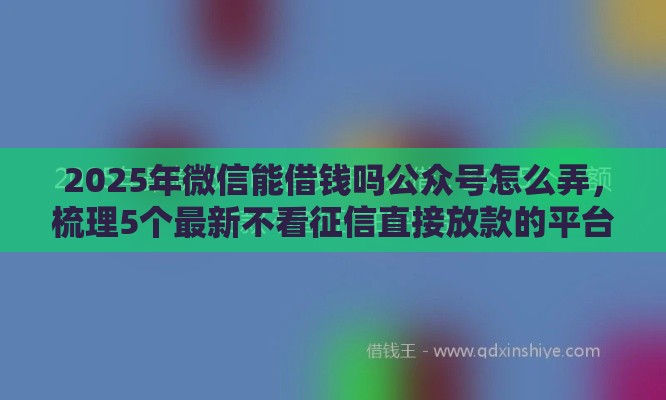 2025年微信能借钱吗公众号怎么弄，梳理5个最新不看征信直接放款的平台