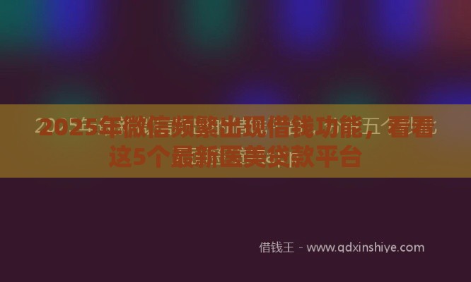2025年微信频繁出现借钱功能，看看这5个最新医美贷款平台
