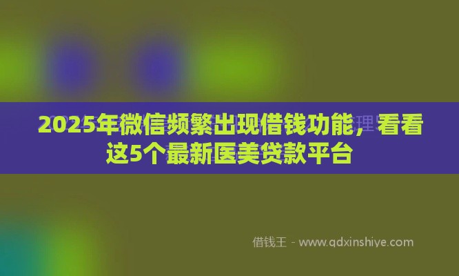 2025年微信频繁出现借钱功能，看看这5个最新医美贷款平台