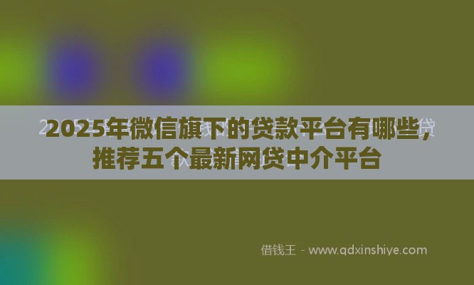2025年微信旗下的贷款平台有哪些，推荐五个最新网贷中介平台