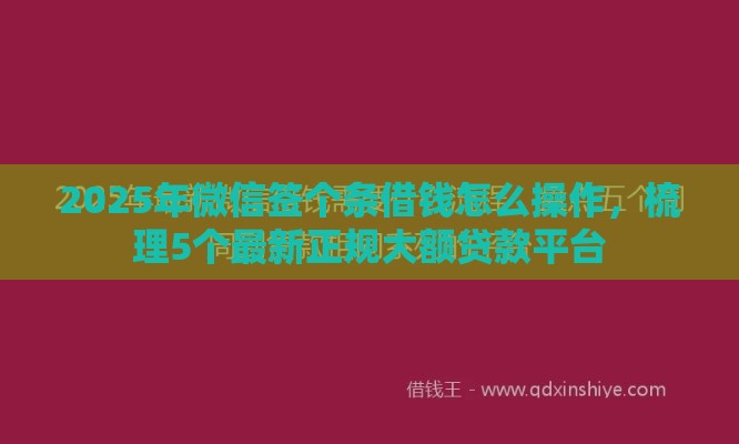 2025年微信签个条借钱怎么操作，梳理5个最新正规大额贷款平台