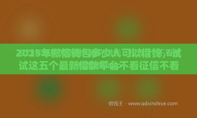 2025年微信钱包多少人可以借钱，试试这五个最新借款平台不看征信不看负债