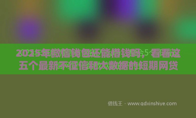 2025年微信钱包还能借钱吗，看看这五个最新不征信和大数据的短期网贷适合58岁的平台