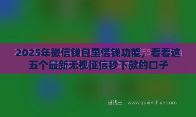 2025年微信钱包里借钱功能，看看这五个最新无视征信秒下款的口子