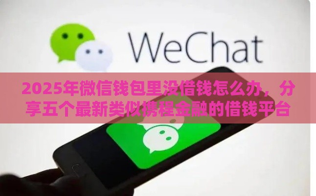 2025年微信钱包里没借钱怎么办，分享五个最新类似携程金融的借钱平台