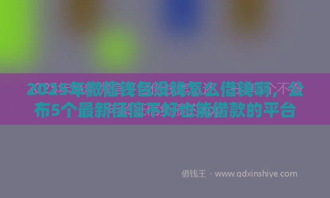 2025年微信钱包没钱怎么借钱啊，公布5个最新征信不好也能借款的平台