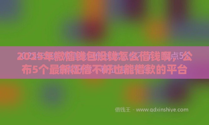 2025年微信钱包没钱怎么借钱啊，公布5个最新征信不好也能借款的平台