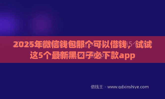2025年微信钱包那个可以借钱，试试这5个最新黑口子必下款app