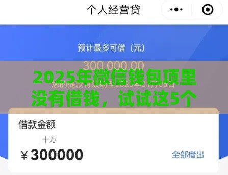 2025年微信钱包项里没有借钱，试试这5个最新优质贷款平台