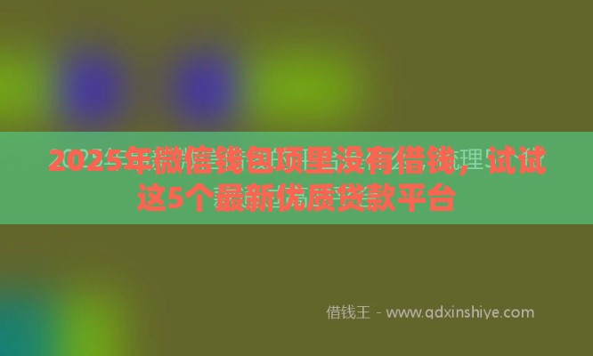 2025年微信钱包项里没有借钱，试试这5个最新优质贷款平台
