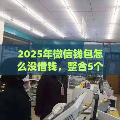 2025年微信钱包怎么没借钱，整合5个最新现在平台可以下款