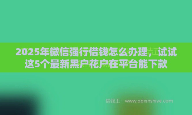 2025年微信强行借钱怎么办理，试试这5个最新黑户花户在平台能下款