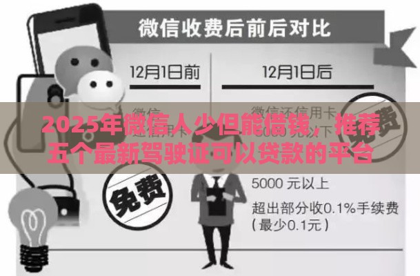 2025年微信人少但能借钱，推荐五个最新驾驶证可以贷款的平台