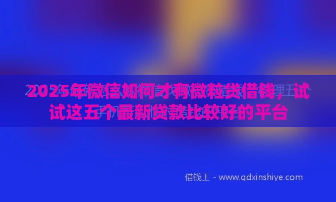 2025年微信如何才有微粒贷借钱，试试这五个最新贷款比较好的平台