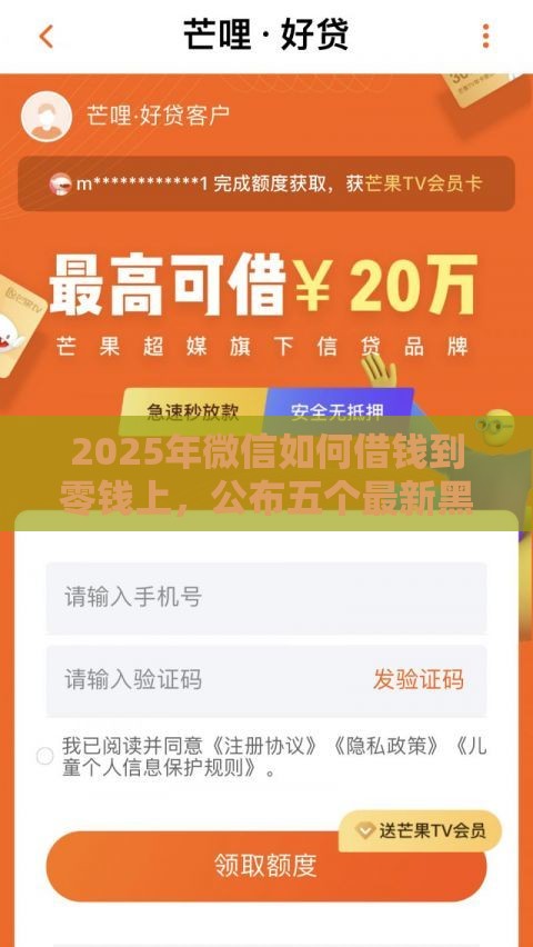 2025年微信如何借钱到零钱上，公布五个最新黑户借贷平台有哪几家