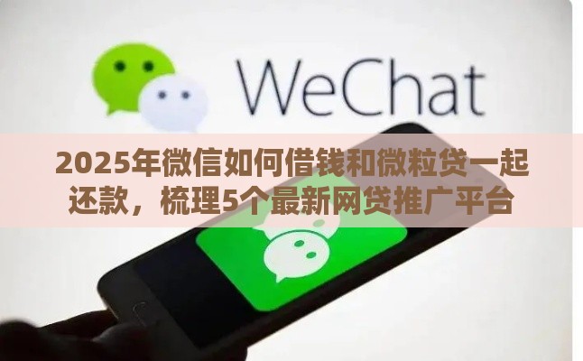 2025年微信如何借钱和微粒贷一起还款，梳理5个最新网贷推广平台