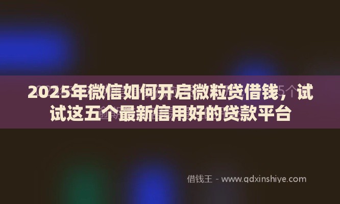 2025年微信如何开启微粒贷借钱，试试这五个最新信用好的贷款平台