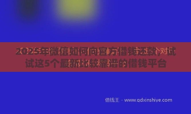 2025年微信如何向官方借钱还款，试试这5个最新比较靠谱的借钱平台